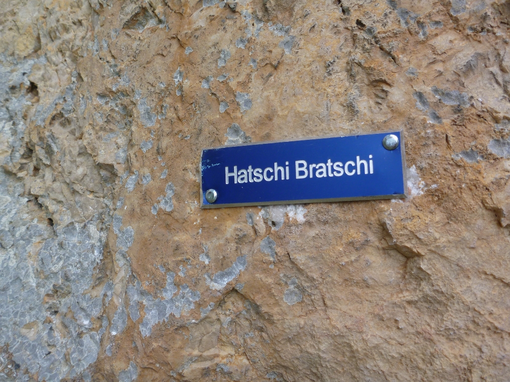 8 Hatschi Bratschi mit Markus 2014