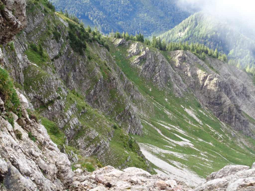 15 Ötscher Nordwand klassisch 2016