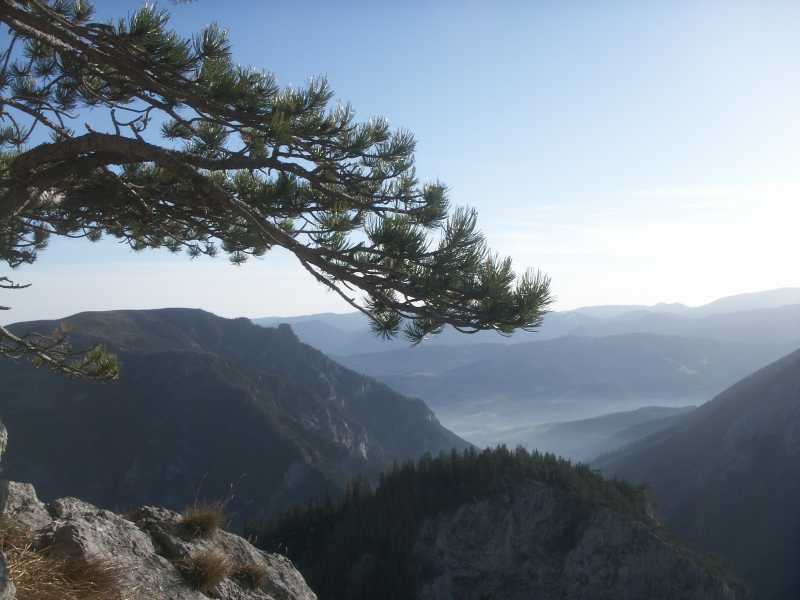 perfektes Wetter.jpg