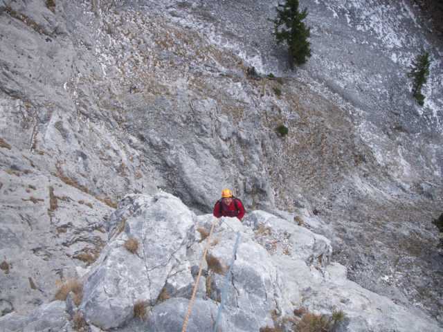 sau kalt ohne Sonne.jpg