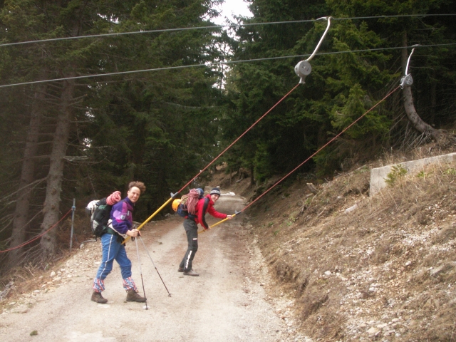 Winter ohne Schnee.jpg