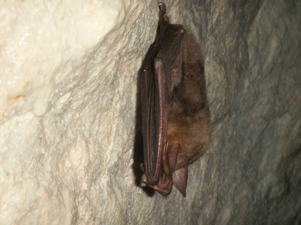 sehr vorsichtig und leise konnten wir ein paar Fotos machen .jpg