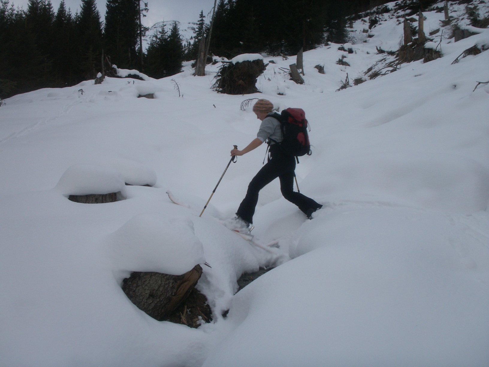 Burnie bei der Skitour auf der Haizinger Alm.jpg