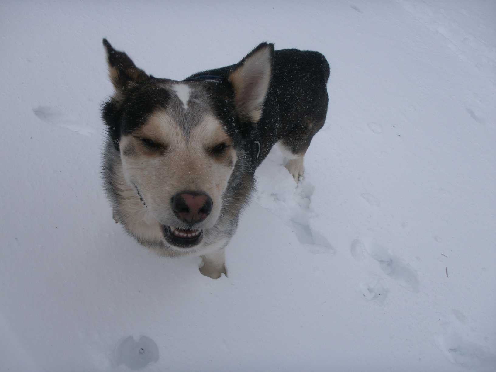 Nils in seinem Element.jpg