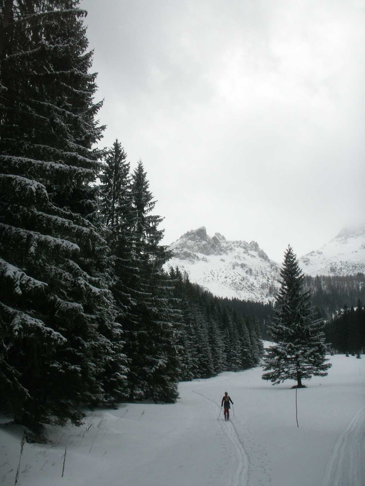 wunderschöne Winterlandschaft.jpg