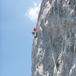 _PICfT0064