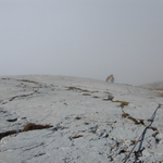 _DSCN2782