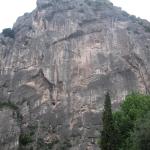 _f1_diewand