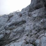 Flo Dachl_Nord_6__300 _48_