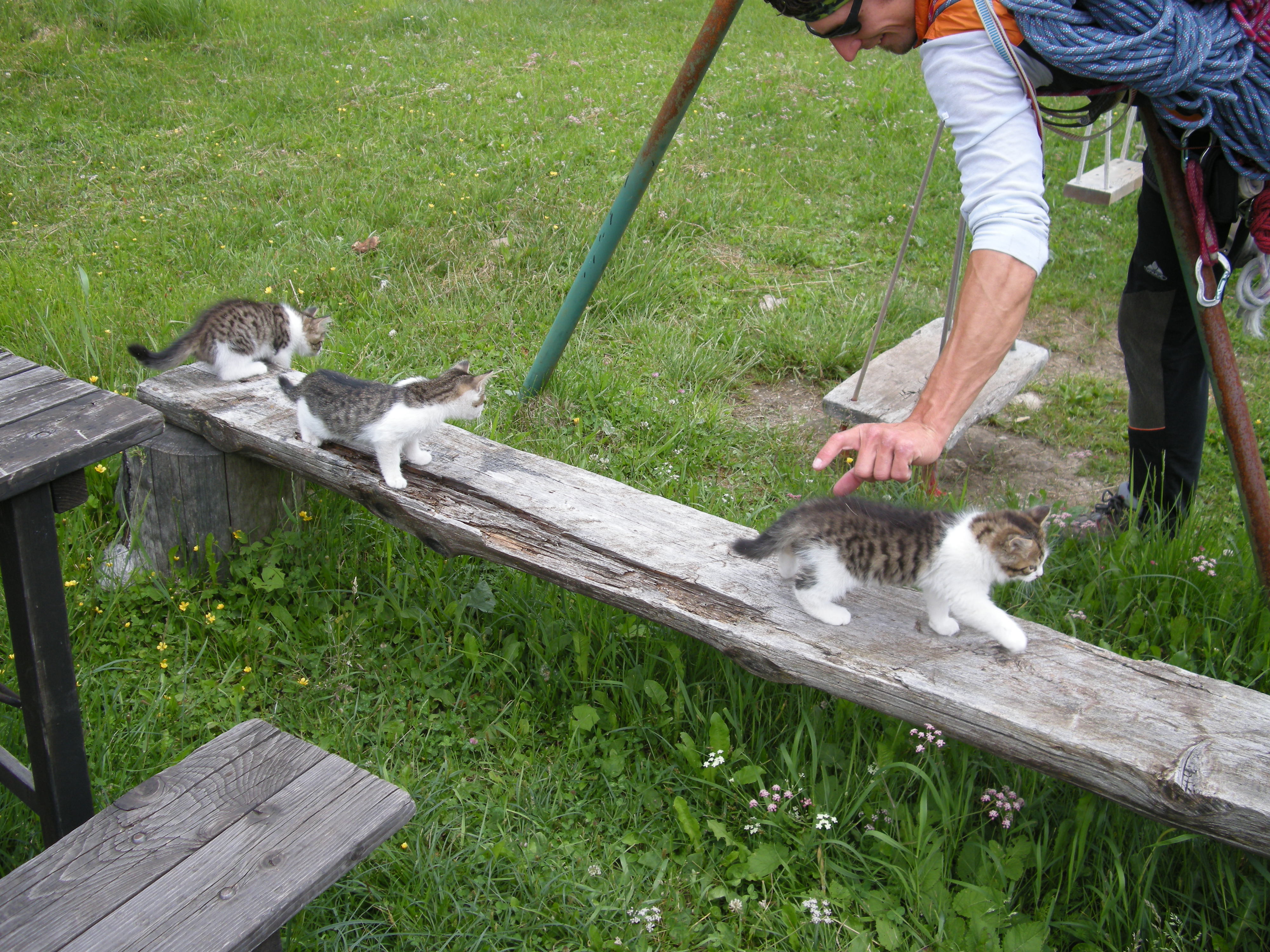 Colatoio_Boneti_Peter (31).JPG