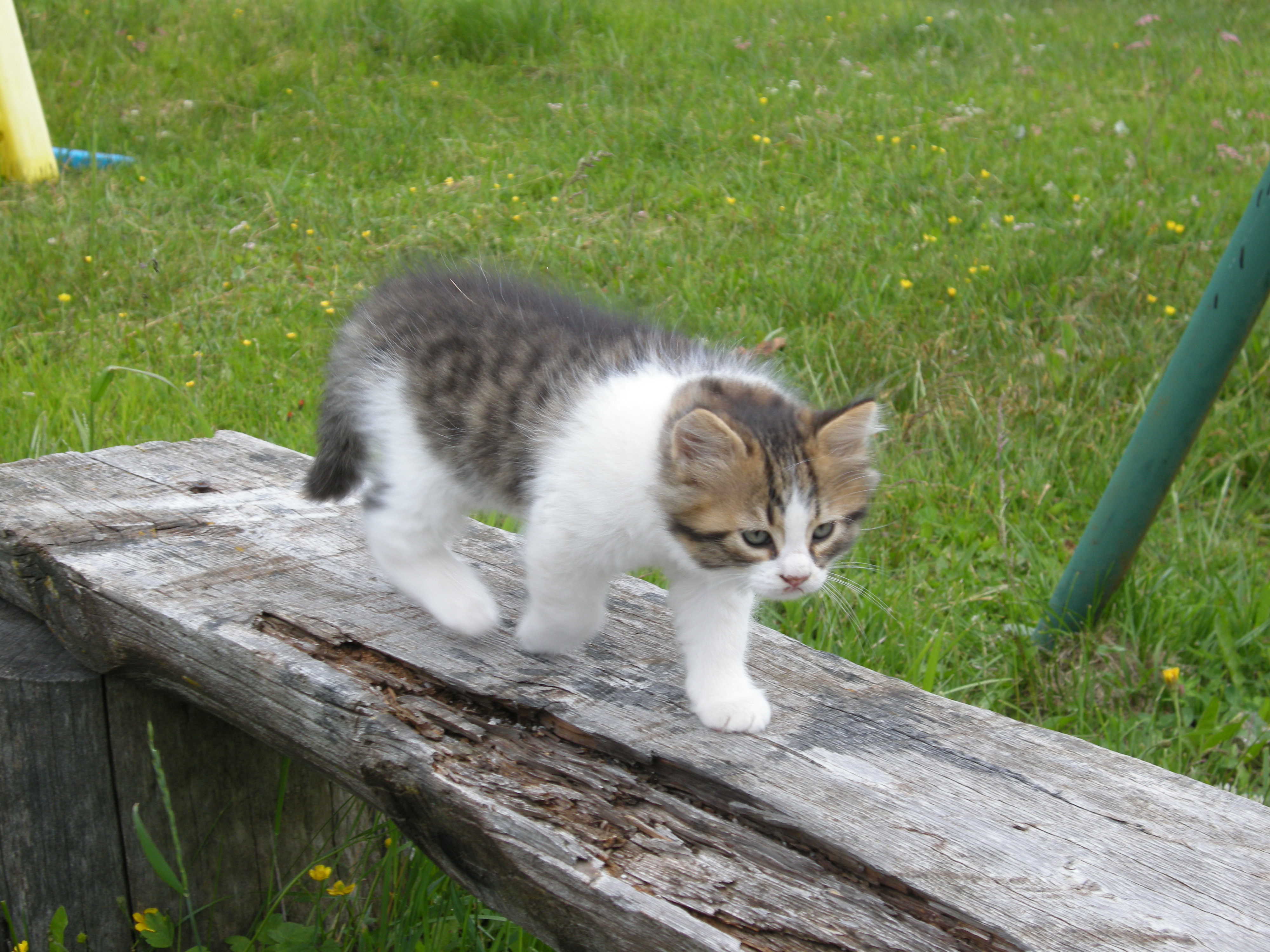 Colatoio_Boneti_Peter (32).JPG