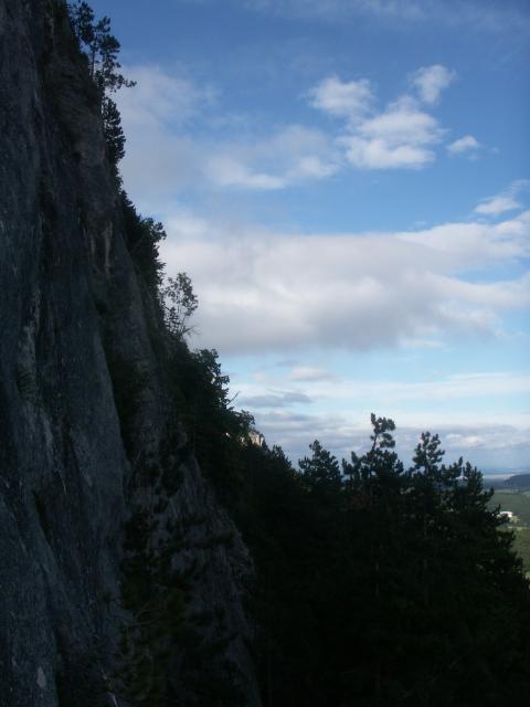 Steinbockalarm_Martin (1).JPG