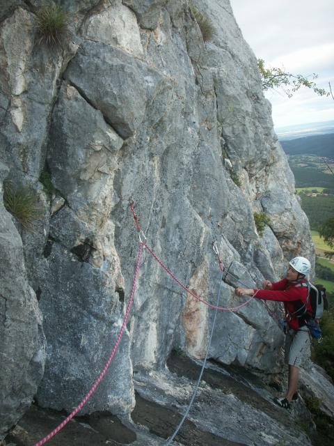 Steinbockalarm_Martin (18).JPG