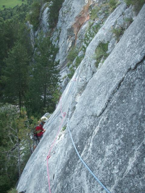 Steinbockalarm_Martin (2).JPG