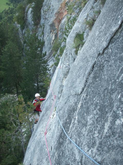 Steinbockalarm_Martin (3).JPG