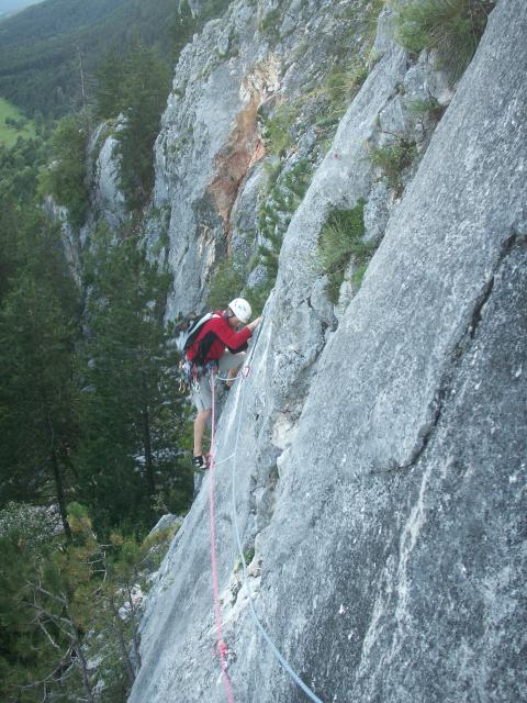 Steinbockalarm_Martin (7).JPG