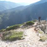 Haidsteig_speed_michl (6)