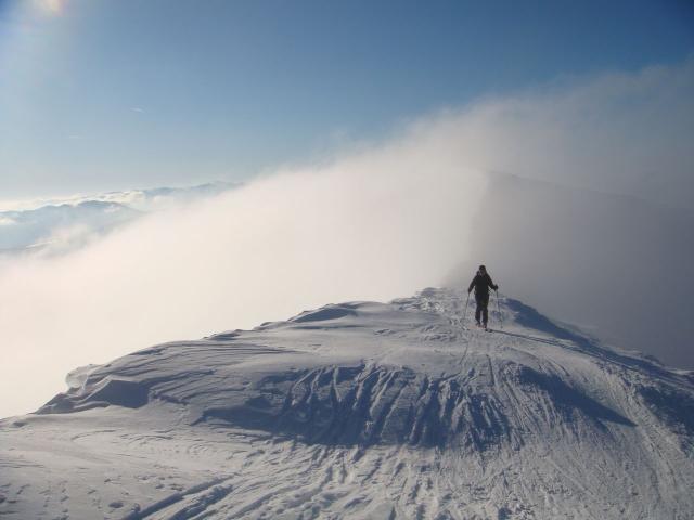 Goeller_Burnie (32).JPG