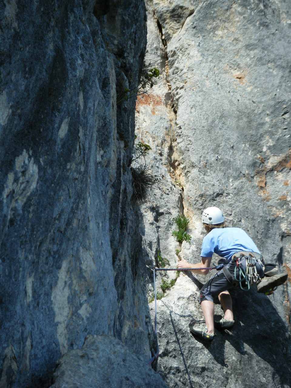 DSCF0190.jpg