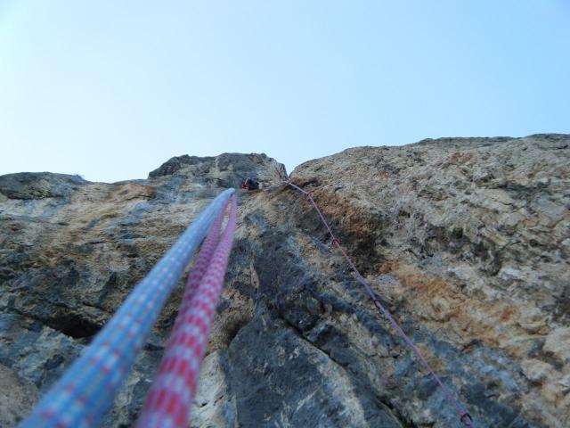 DSCF0246.jpg