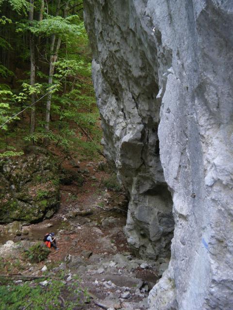 DSCF0442.jpg