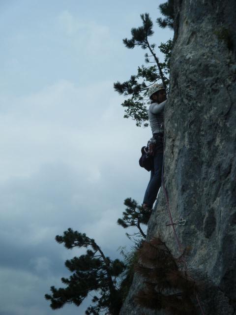 DSCF1437.jpg