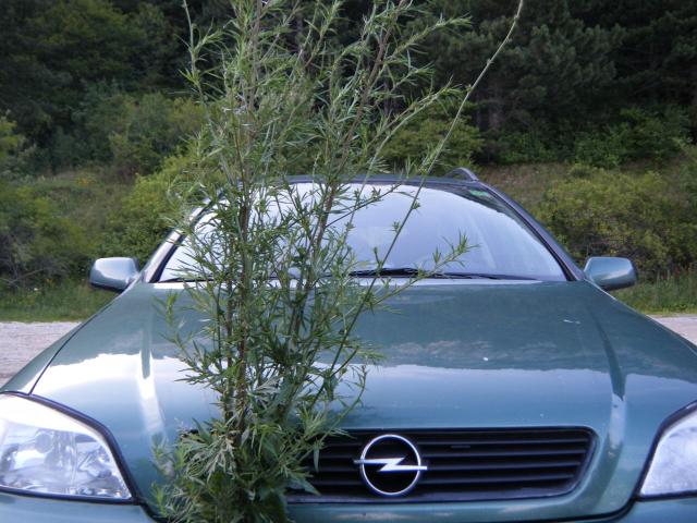 Zukunftsweiser Bernd (24).jpg