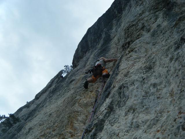 DSCF2123.jpg