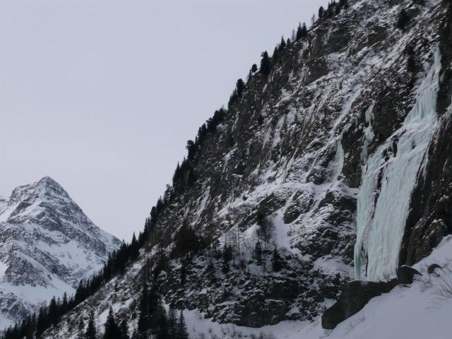 P1050088.JPG
