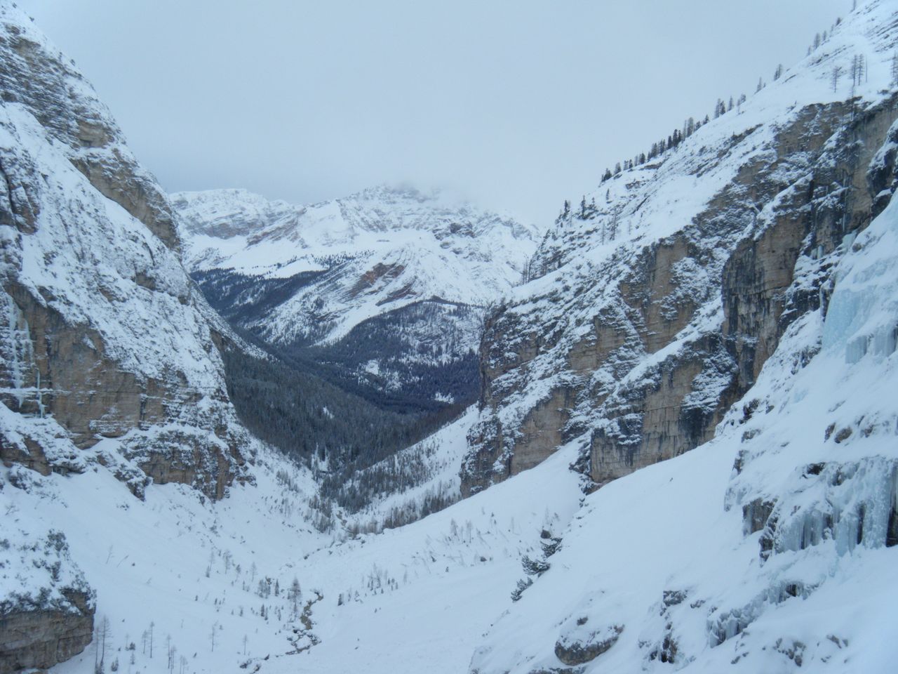 Sogno Canadese (29).JPG