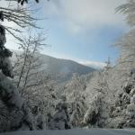 Unterberg NÖ 08