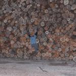 Drytoolen auf privaten Gelände  24