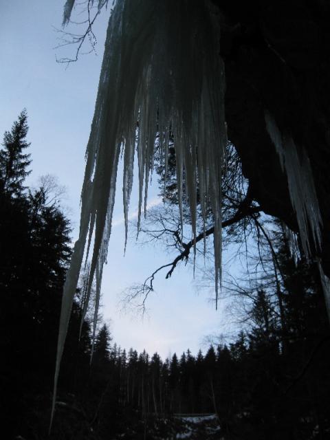 Wing Master Maltatal 2011  09