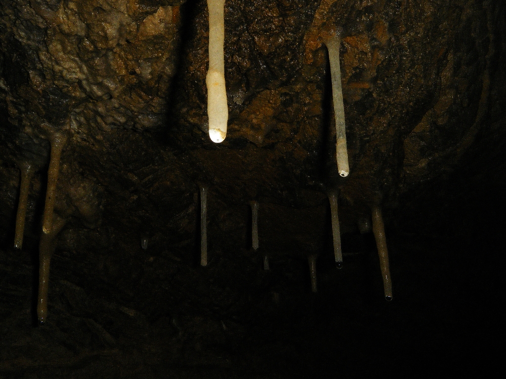 Schachernhöhle 2011 54