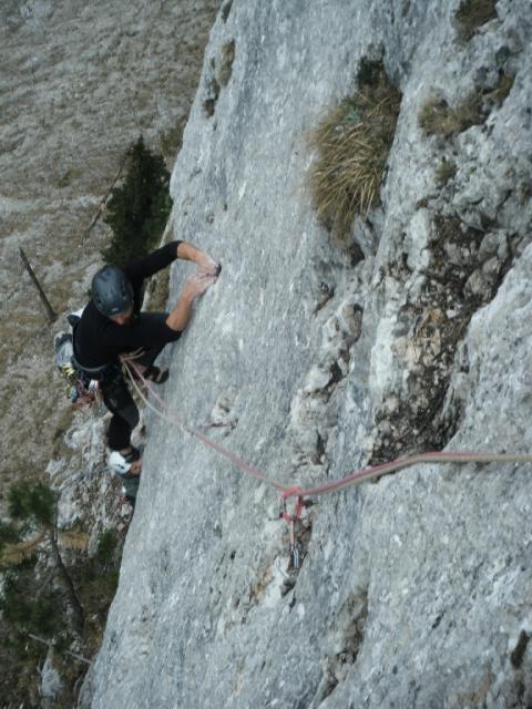 2011 Gelber Oktober 2