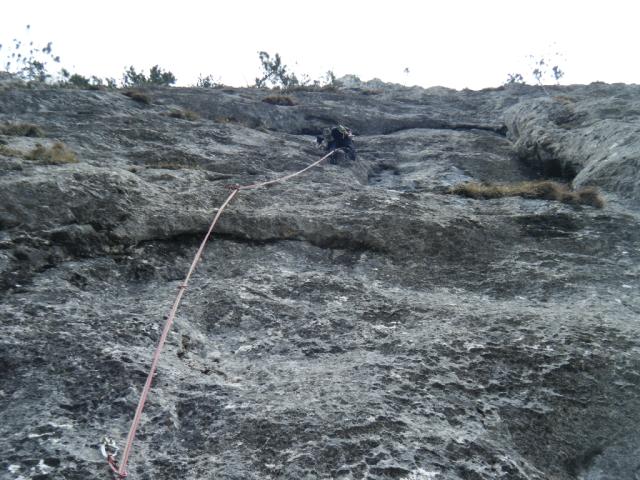 2011 Gelber Oktober 7