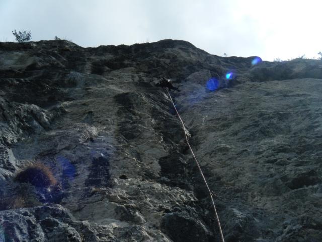 2011 Gelber Oktober 13