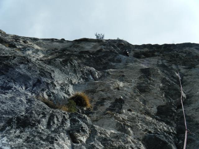 2011 Gelber Oktober 14