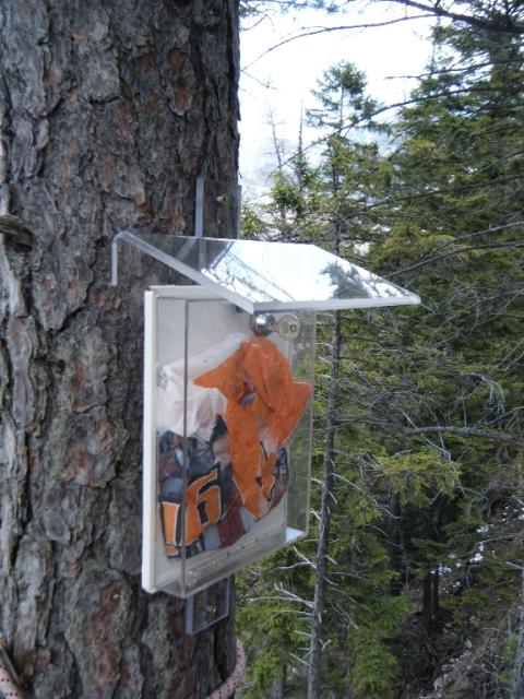 2011 Gelber Oktober 19