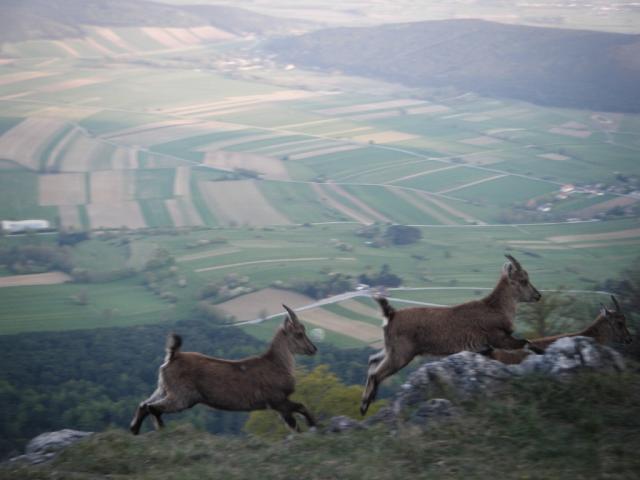 15 Duettsteig 04_2011