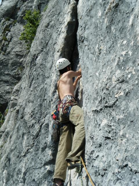 Die nächste Stufe 7