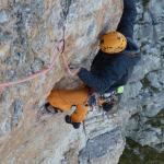 4  Dimai Direkte 2011