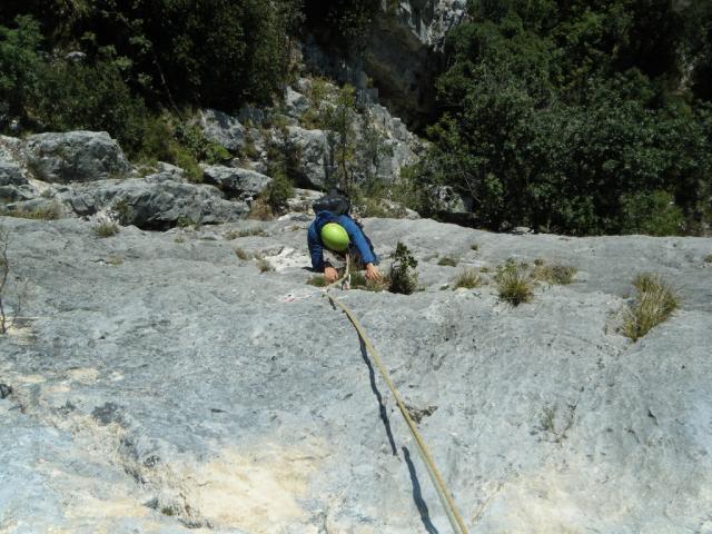 1 Se La Conosci la eviti 2011