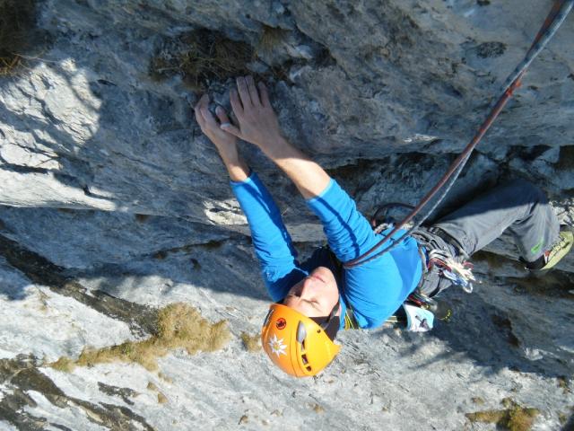 11 Daham is Daham 2011