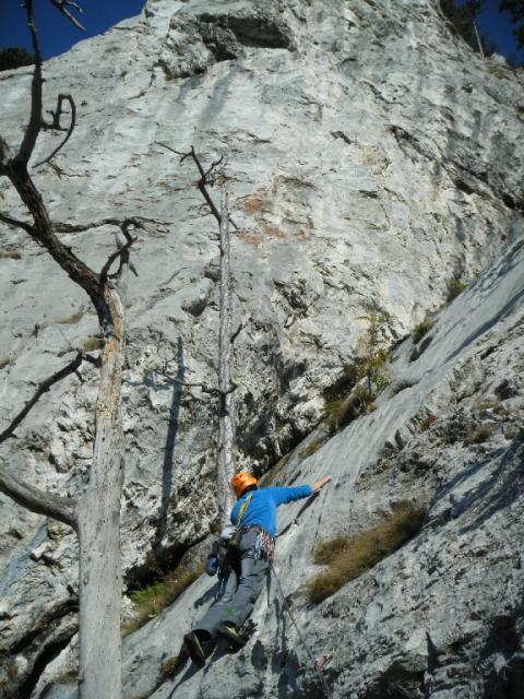 12 Daham is Daham 2011