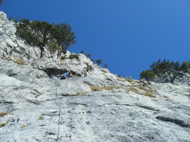 13 Daham is Daham 2011