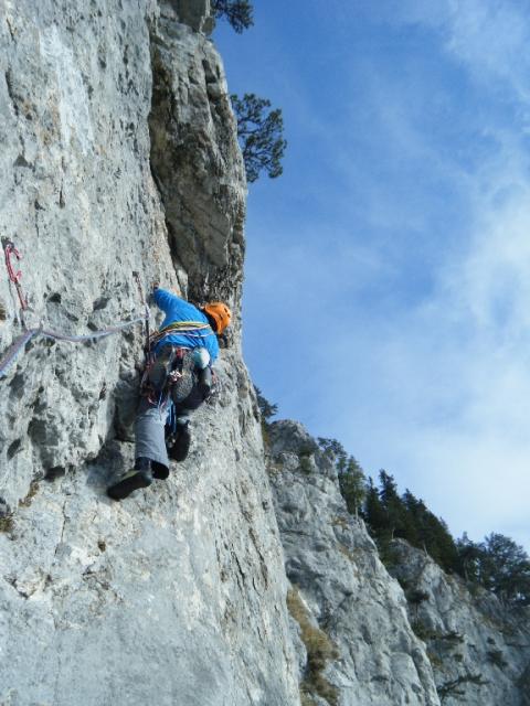 20 Daham is Daham 2011