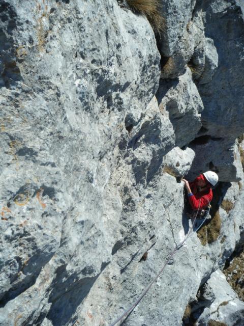 1 rote Phantasie 2011