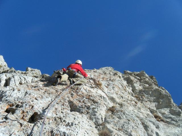 8 rote Phantasie 2011