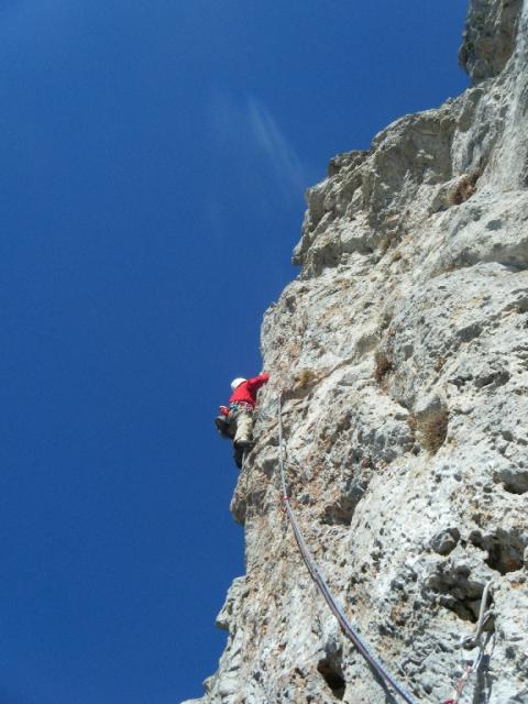 9 rote Phantasie 2011